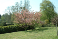 terrain GIF SUR YVETTE 4429808_2