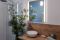 Appartement BORMES-LES-MIMOSAS 4429631_3