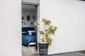 Maison BASSE GOULAINE 4429730_3