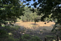 terrain VILLEFORT 4430379_3