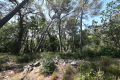 terrain ROQUEFORT-LES-PINS 4430916_0