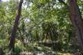 terrain ROQUEFORT-LES-PINS 4430916_1