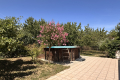 Maison ST-GENIS-LES-OLLIERES 4431379_1