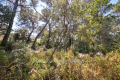 terrain ROQUEFORT-LES-PINS 4430916_2