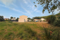 terrain ST-ANTONIN-DU-VAR 4431359_2