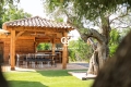 Maison BORMES-LES-MIMOSAS 4430841_3