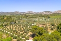 Maison MAUSSANE-LES-ALPILLES 11 pi&egrave;ces 4431438_3