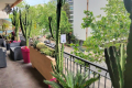 Appartement CANNES 4431752_1