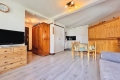 Appartement CHAMONIX-MONT-BLANC 2 pi&egrave;ces 4431624_2
