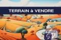terrain ST MARTIN SUR OUST 4433414_0