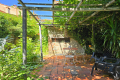 Maison LAROQUE-DES-ALBERES 4 pi&egrave;ces 4432953_1