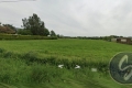 terrain ST MARTIN SUR OUST 4433414_1