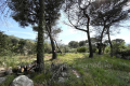 terrain DRAP 0 pi&egrave;ces 4433801_0