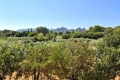 Maison ST-REMY-DE-PROVENCE 4434420_0