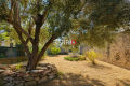Maison ST-ANDRE 4434119_1