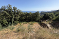 terrain RAYOL-CANADEL-SUR-MER Sainte-Brigitte 4434227_1