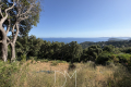 terrain RAYOL-CANADEL-SUR-MER Sainte-Brigitte 4434227_2
