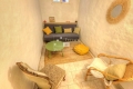 Maison AUPS 4434302_3