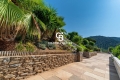 Maison BORMES-LES-MIMOSAS 4434377_3