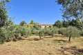 Maison ST-REMY-DE-PROVENCE 4434420_3