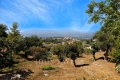 terrain MOUANS-SARTOUX 4434953_0