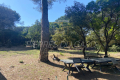 Maison CLARENSAC 4435076_0