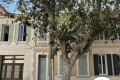 Maison SALON-DE-PROVENCE 4434605_1