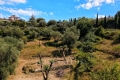 terrain MOUANS-SARTOUX 4434953_1