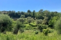 terrain MOUANS-SARTOUX 4434953_2
