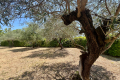 Maison ST-HIPPOLYTE-DU-FORT 4434699_3