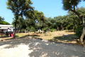 terrain UZES 4435077_3