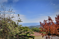 Maison RAMATUELLE Barjols 4434792_0