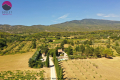 Maison BEDOIN 4435957_0