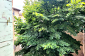 Appartement UZES 1 pi&egrave;ces 4437476_2
