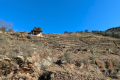 terrain COLLIOURE Saint-Assiscle 4437562_0