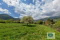 terrain SOSPEL 4437749_0