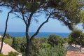 terrain LES ISSAMBRES 4437945_0
