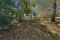 terrain LES ISSAMBRES 4437945_1