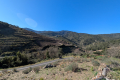 terrain COLLIOURE Saint-Assiscle 4437562_3