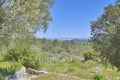 Maison ROQUEFORT-LES-PINS 4437719_3