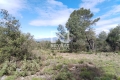 terrain MONTAUROUX Belgentier 4438991_0