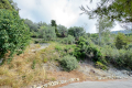 terrain MENTON 4438595_2
