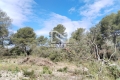 terrain MONTAUROUX 4438991_2