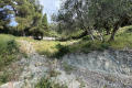 terrain MENTON 4438595_3