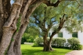 House CANNES 6 rooms 4438824_3
