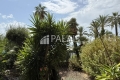 Appartement NICE 3 pi&egrave;ces 4440406_0