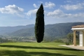 House COGOLIN 17 rooms 4439579_1