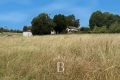 terrain ST-PEE-SUR-NIVELLE 4439858_1