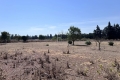 Maison MOLLEGES Blancarde Rougier 4439628_3