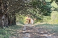 House GOULT 0 rooms 4440431_3